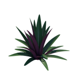 Planta de Sol - Forração - Abacaxi Roxo