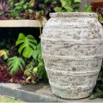 Vaso Organne Argel- Atlantis