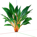 Planta de Sombra - Forração - Lumina