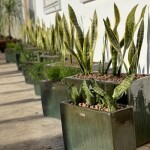 Vaso Organne Jardineira Paris - Vitrificados