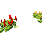 Planta de Sol - Hortaliça - Pimenta