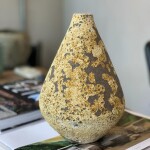 Vaso Organne SPA I - Home