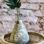 Vaso Organne SPA I - Home