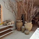 Vaso Organne Eros - Premium